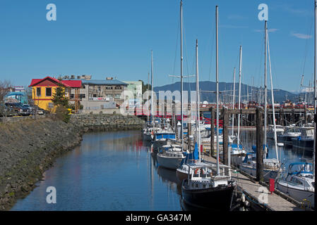 Yachting and Boating Marina and pontoon, Campbell River Vancouver Island BC Canada. SCO 10,541. Stock Photo