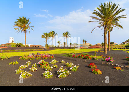 Flowers and palm trees on roundabout near Yaiza village, Lanzarote island, Spain Stock Photo