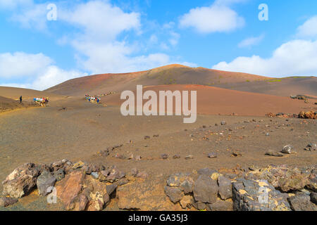 Volcano landscape of Timanfaya National Park with caravans of camels in distance, Lanzarote, Canary Islands, Spain Stock Photo