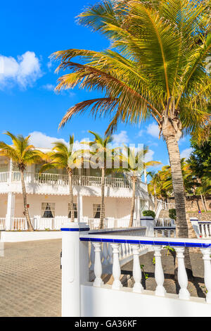 Palm trees in Caribbean style port with typical white buildings, Puerto Calero, Lanzarote island, Spain Stock Photo