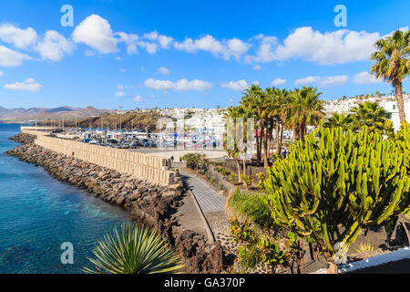 Green tropical plants and view of Puerto del Carmen town on coast of Lanzarote island, Spain Stock Photo