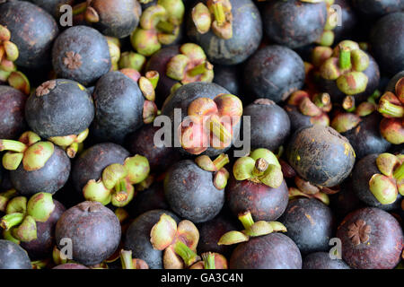 Mangostane Stock Photo Alamy