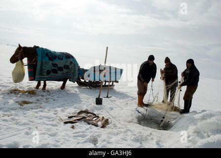 Fishermen catches fishes on Lake Cildir which is frozen every winter.The Lake is located on Eastern Anatolia. Stock Photo