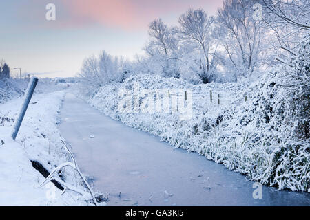 Winter scene of Wembdon Rhyne after heavy snow, early morning, Somerset, England, United Kingdom, Europe Stock Photo