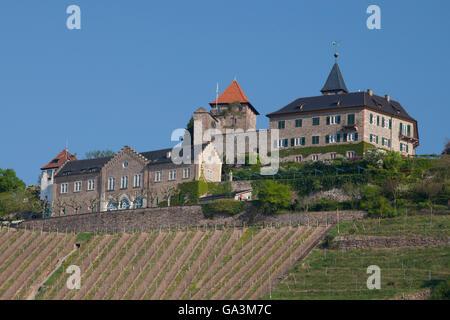 Single gernsbach Precitec Group - News Single