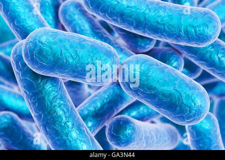 Illustration of rod-shaped bacteria. Rod-shaped bacteria include Escherichia coli, Salmonella, Shigella, Klebsiella, Citrobacter, Enterobacter, Yersinia pestis, Pseudomonas aeruginosa, Legionella pneumophila and Mycobacterium tuberculosis species. Stock Photo