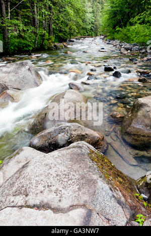 Rock filled river near Franklin Falls in Washington. Stock Photo