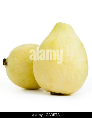 White Guava Fruits Isolated on White Background Stock Photo