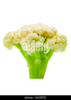 Cauliflower Head Isolated on White Background Stock Photo