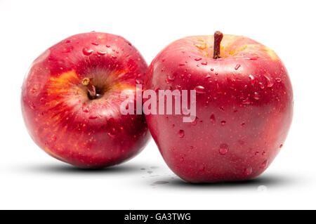 Two Apples Isolated on White Background Stock Photo