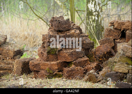 Stacks of peat, national park De Groote Peel, Netherlands Stock Photo