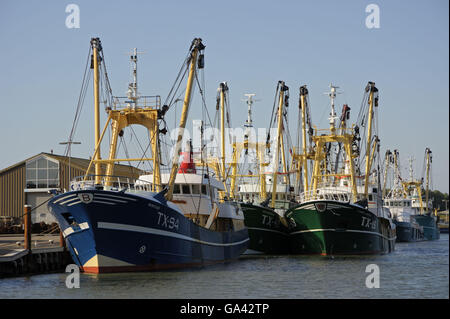 Fishing boats in harbour, Oudeschild, Texel, Netherlands Stock Photo