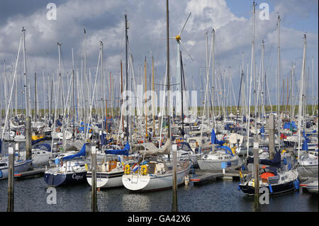 Yacht harbour, Oudeschild, Island Texel, Netherlands / Marina Stock Photo