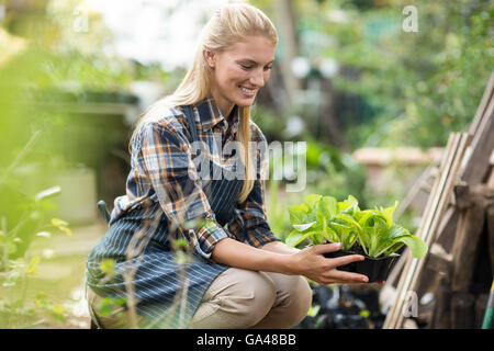 Side view of female gardener holding plant Stock Photo