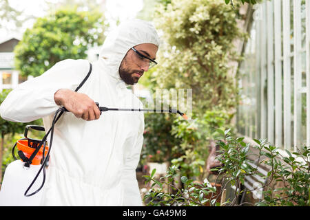 Male scientist spraying pesticides on plants Stock Photo