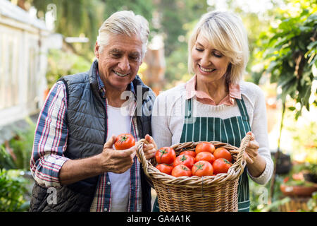 Gardeners carrying tomato basket Stock Photo