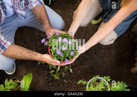 High angle view of gardeners holding potted plants at garden Stock Photo