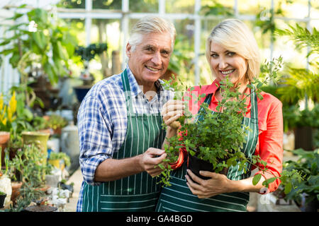 Happy couple holding potted plant in greenhouse Stock Photo