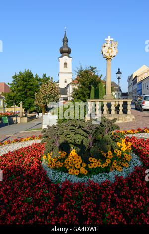 Heidenreichstein Main square with the parish church and the Holy Trinity Column Austria Niederösterreich, Lower Austria Waldvier Stock Photo