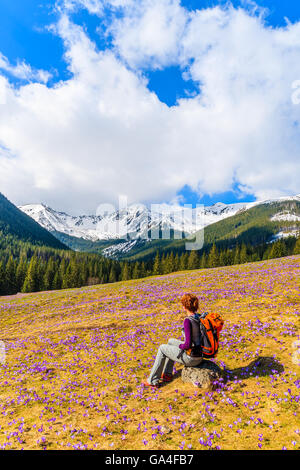 Young woman tourist sitting on mountain meadow with crocus flowers blooming, Chocholowska valley, Tatra Mountains, Poland Stock Photo