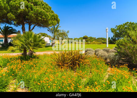 Flowers in green park of Alvor town, Algarve region, Portugal Stock Photo