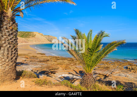 Palm trees with azure sea in background in Luz town on coast of Algarve region, Portugal Stock Photo