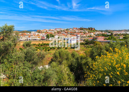 Spring yellow flowers with view of Silves town built on green hill, Algarve region, Portugal Stock Photo