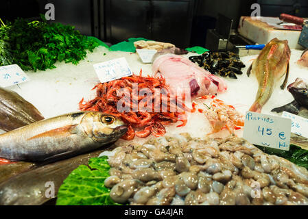 Fish and seafood shop on the market of La Boqueria, next to Les Rambles in Barcelona, Catalonia, Spain Stock Photo