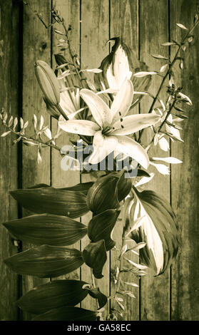 Still life with bouquet of lily flowers Stock Photo - Alamy