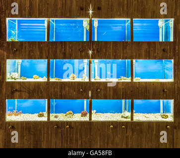 luxury aquarium Stock Photo