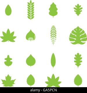 Vector various  leaf icon collection. Stock Vector