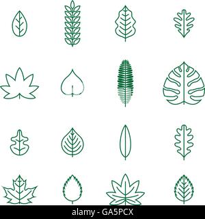 Vector various line leaf icon collection. Stock Vector