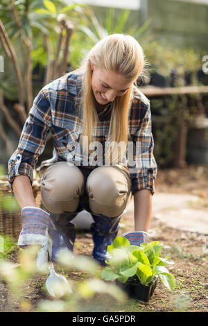 Happy female gardener planting outside greenhouse Stock Photo