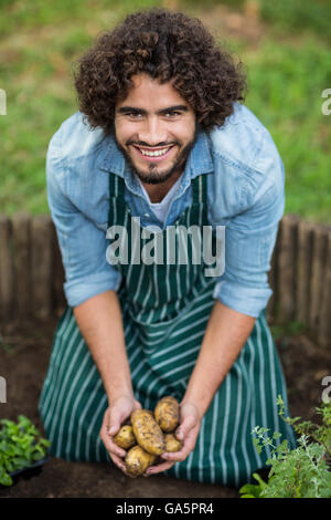 Happy male gardener harvesting potatoes Stock Photo