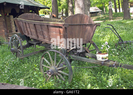 Old horse drawn wagon coach on grass field Stock Photo