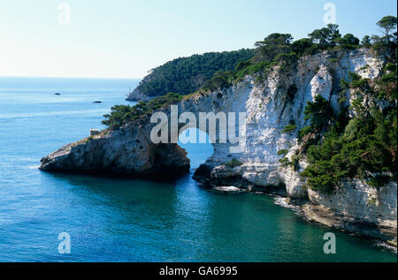 Coast near Vieste, Call di San Felice, Gargano, Puglia, Apulia, Italy, Europe Stock Photo