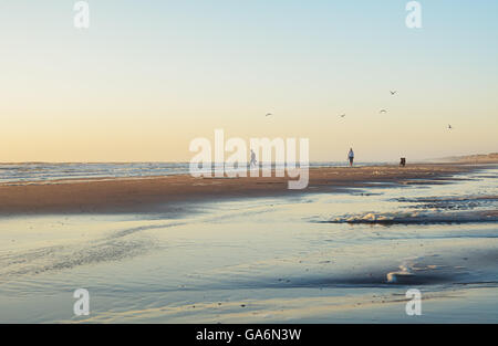 Man and woman with a dog make a walk along the North Sea beach during sunset