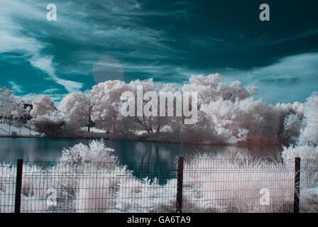 Infra Red photo of a pond / trees Stock Photo