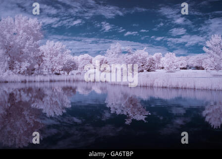 Infra red photo of a pond Stock Photo