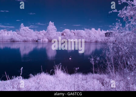 Infra red photo at a park Stock Photo