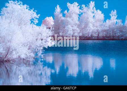 Infra Red photo of trees and water Stock Photo