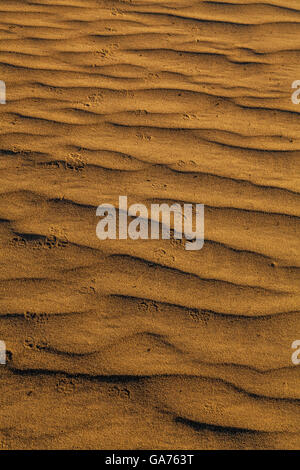 Animal footprints on sand at the Mesquite Sand Dunes in Death Valley National Park, California, USA Stock Photo