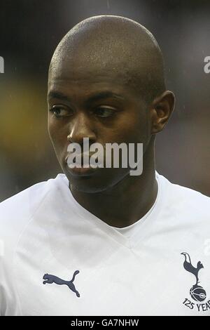 Soccer - Barclays Premier League - Tottenham Hotspur v Everton - White Hart Lane. Anthony Gardner, Tottenham Hotspur Stock Photo