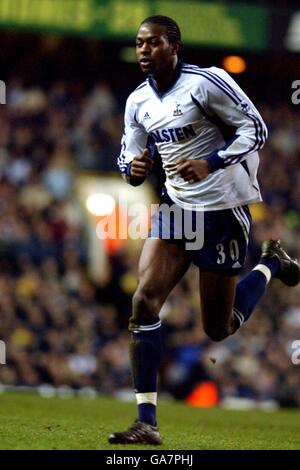 Soccer - Worthington Cup - Semi Final - Second Leg - Tottenham Hotspur v Chelsea. Anthony Gardner, Tottenham Hotspur Stock Photo