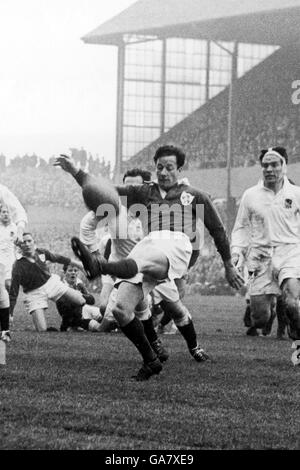 Ireland's Jack Kyle kicks to touch Stock Photo - Alamy