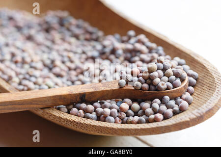 Roveja, Pisum Arvense,  wild pea, high protein legume from Umbria Stock Photo