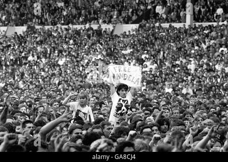 CROWD AT AMNESTY INTERNATIONAL CONCERT WEMBLEY STADIUM 1988 Stock Photo ...