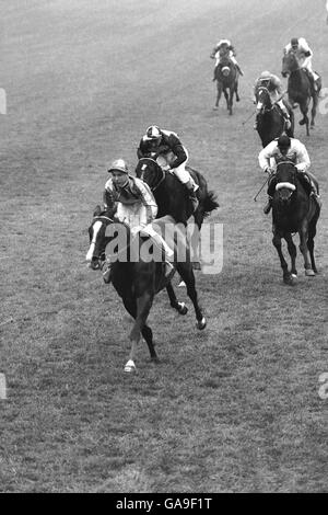 Left to right, Never Say Die, with Lester Piggott up, comes home to win The Derby from Adrian Night and Darius Stock Photo