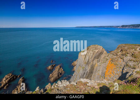 The slate cliffs of the southern side of Burgh Island, South Devon, England, UK Stock Photo