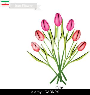 Iran Flower, Illustration of Tulip Flowers. One of The Most Popular Flower of Iran. Stock Vector